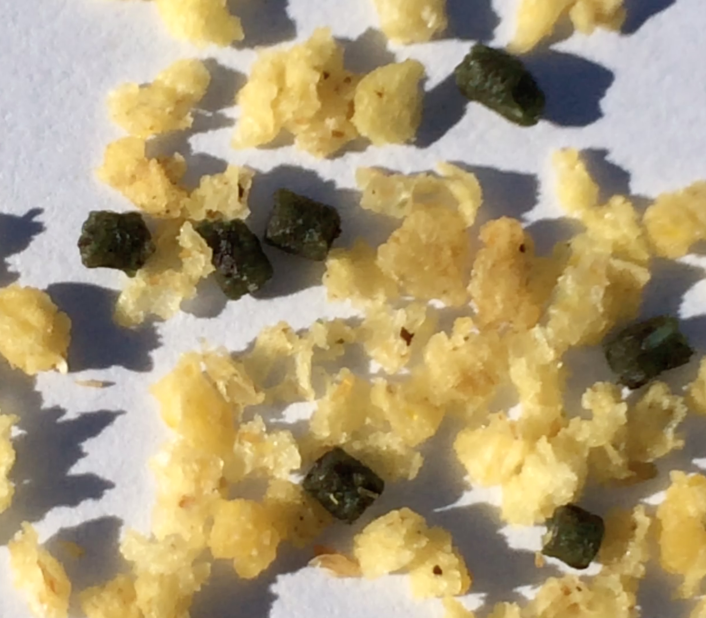  Two different food granules in PestXpert Nest Kill ant bait 