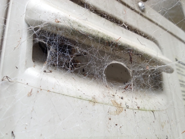 Black house spider web